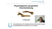 thumbnail of medium Prof. Rammelt Knochenheilung