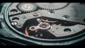 thumbnail of medium Macro