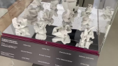 thumbnail of medium Ausstellungsvideo zu "Übergänge sinnfrei denken, modellieren und 3D-drucken"